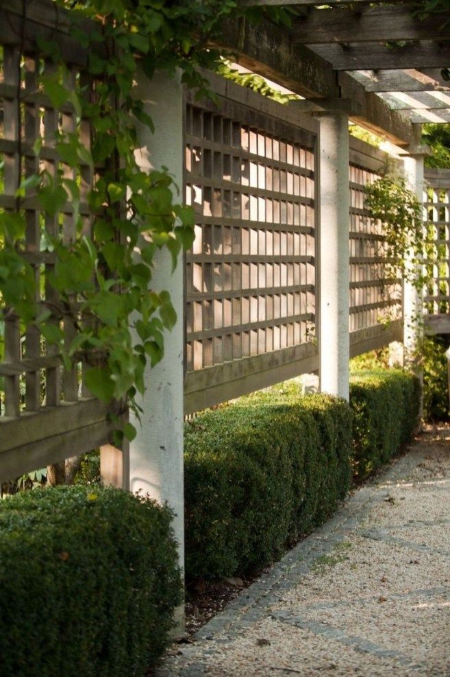 Budget-Friendly Privacy Fence Solutions
