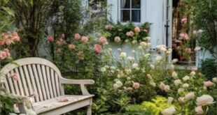 small garden cottage