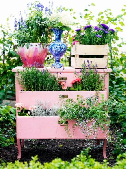 A Creative Garden Idea: Transforming a Chest of Drawers into a Stylish Planter