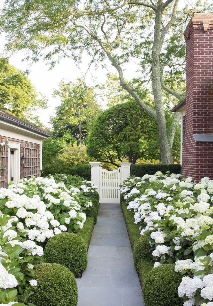 A Guide to Creating a Stunning Front Garden Design