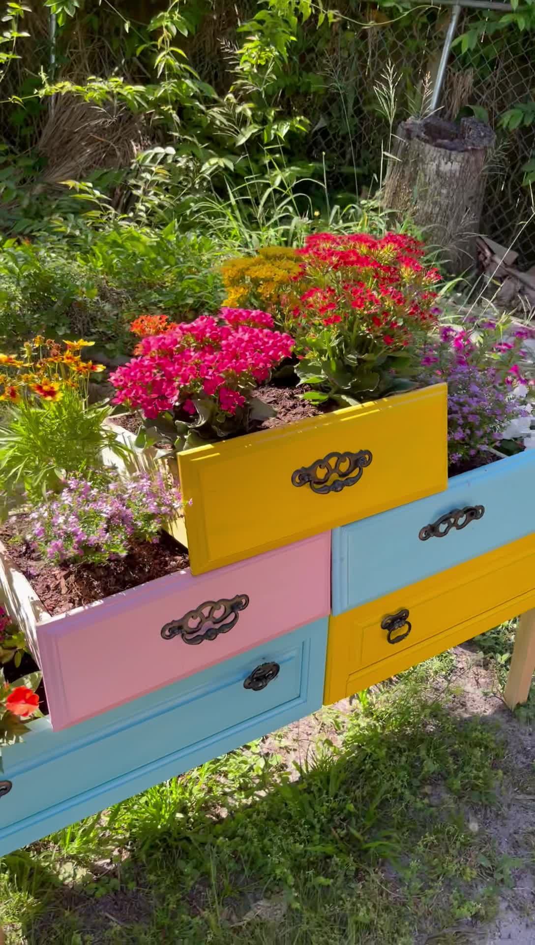 A Rustic and Charming Garden Planter Made from a Chest of Drawers