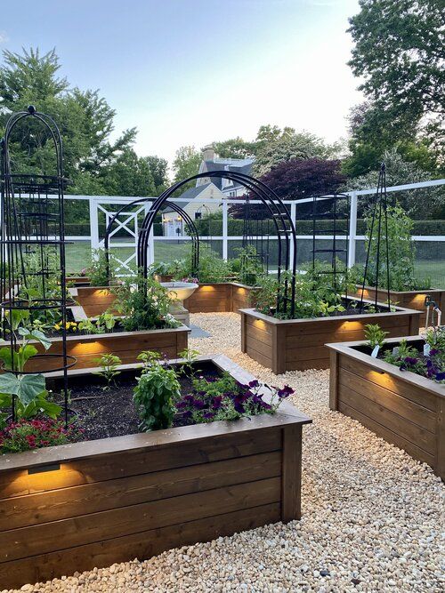 Advantages of Using Raised Garden Beds for Growing Plants