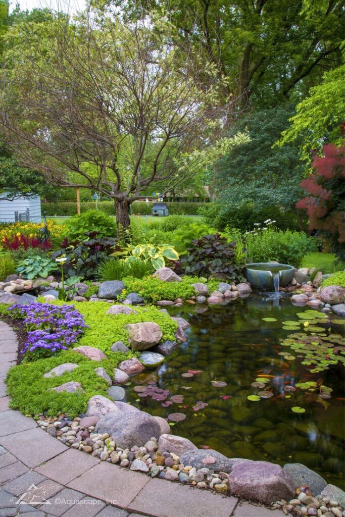 pond design