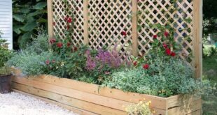 cheap privacy fence ideas