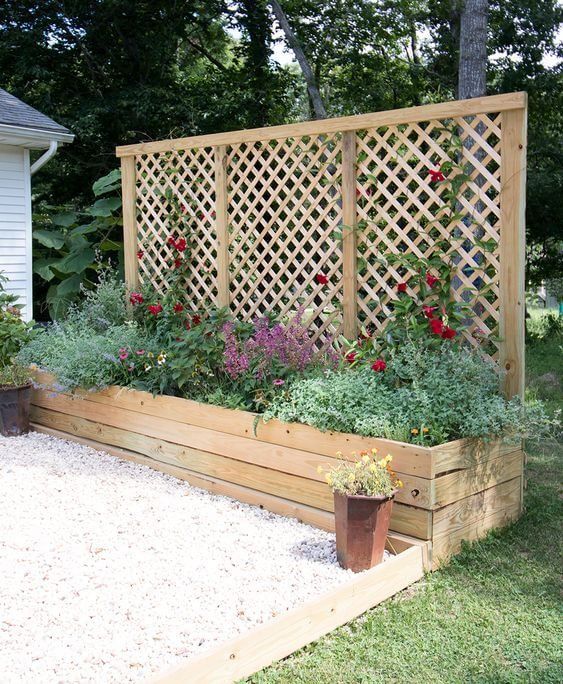 Affordable Ways to Create Privacy Fences