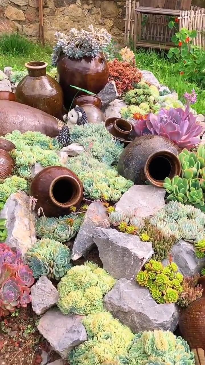 Beautiful Succulent Rock Garden: A Stunning Display of Nature’s Beauty