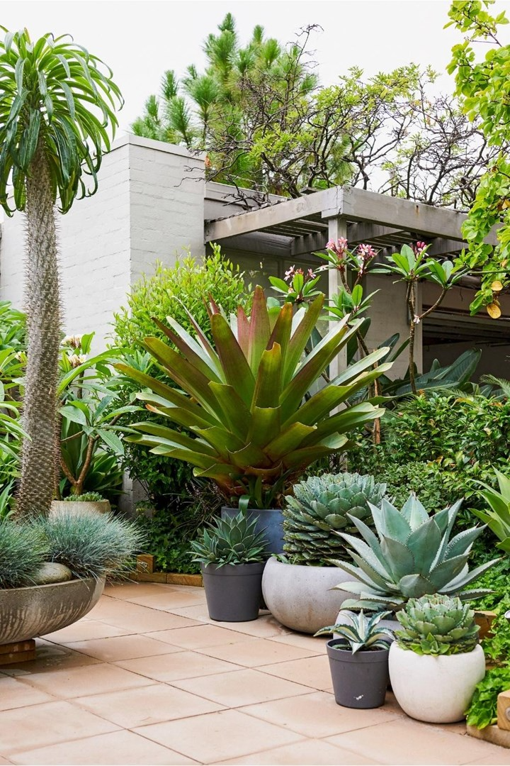 Beautiful Ways to Incorporate Plants into Your Patio Design