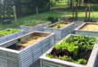 galvanized raised garden beds