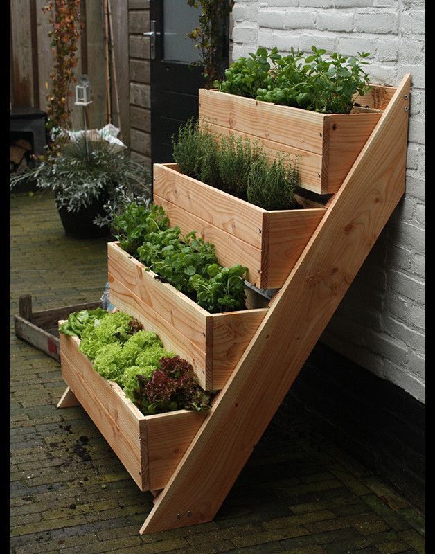 Benefits of using Raised Garden Beds for Planting