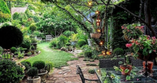 landscape design ideas