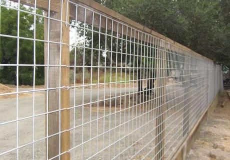 Budget-Friendly Fence Designs for Your Outdoor Space