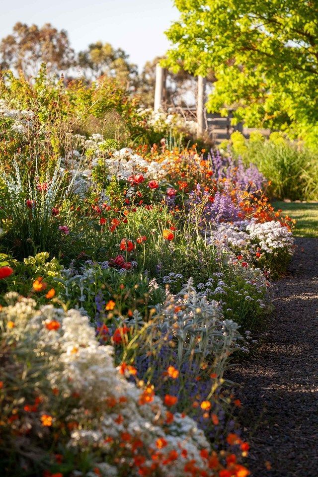 Charming Garden Retreat: A Cozy Cottage for Nature Lovers