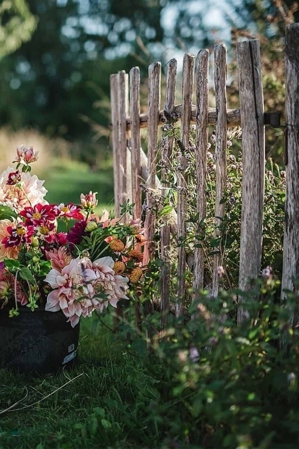 rustic garden fence