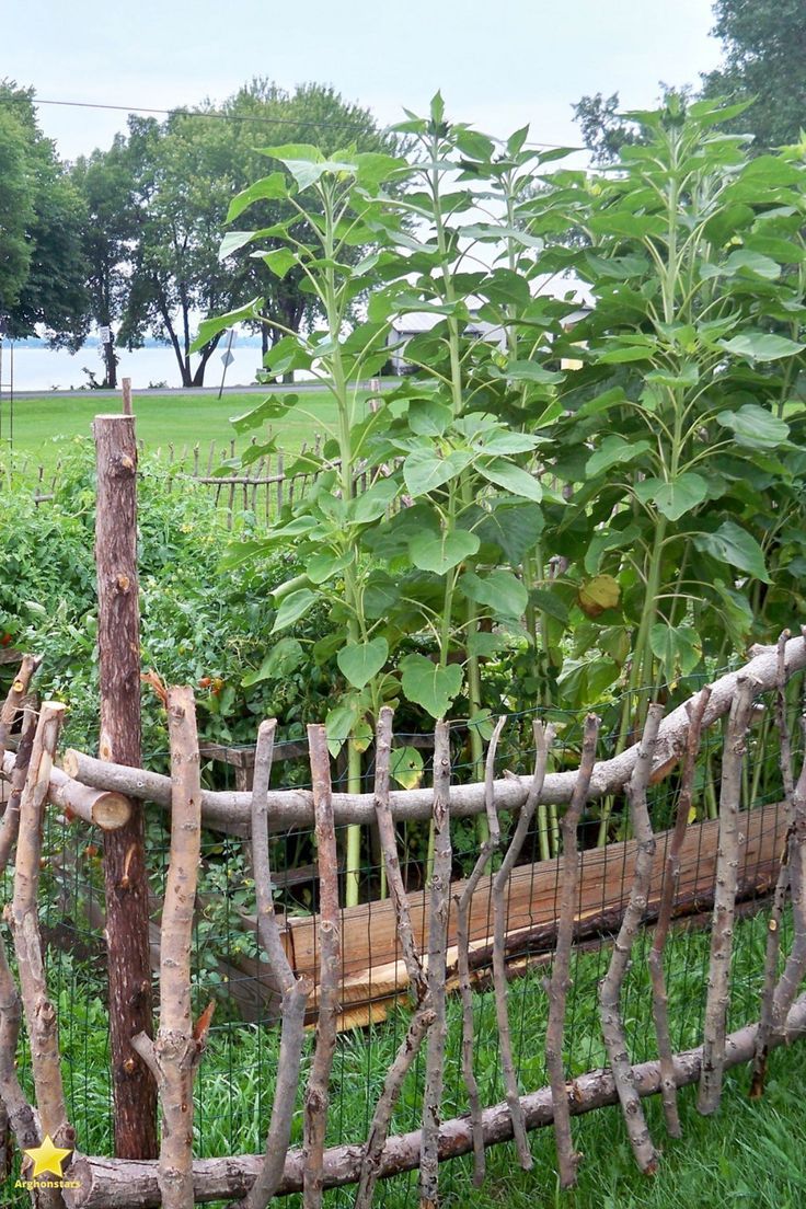 Charming Rustic Garden Fences: Adding Authenticity to Your Outdoor Space