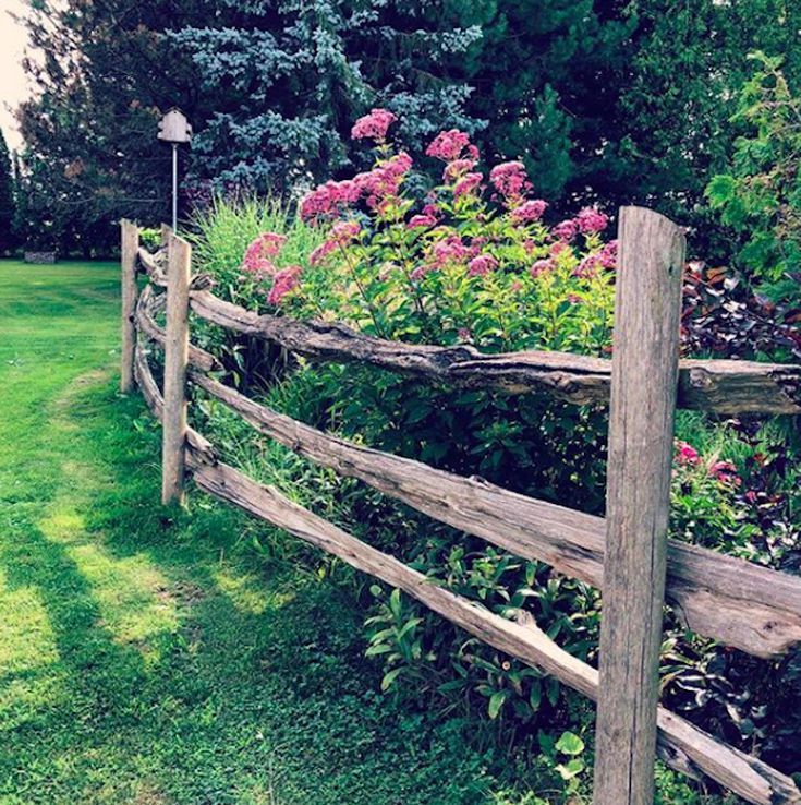 rustic garden fence