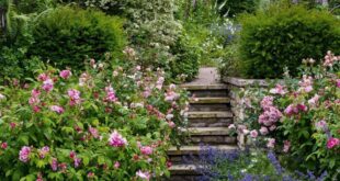 english garden ideas