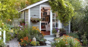 small garden shed