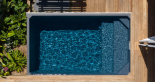 small plunge pools for small yards