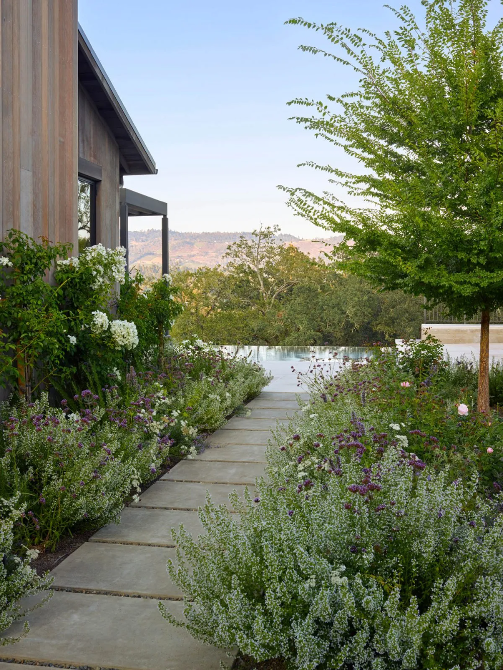 Contemporary Backyard Landscaping: A Fresh Perspective