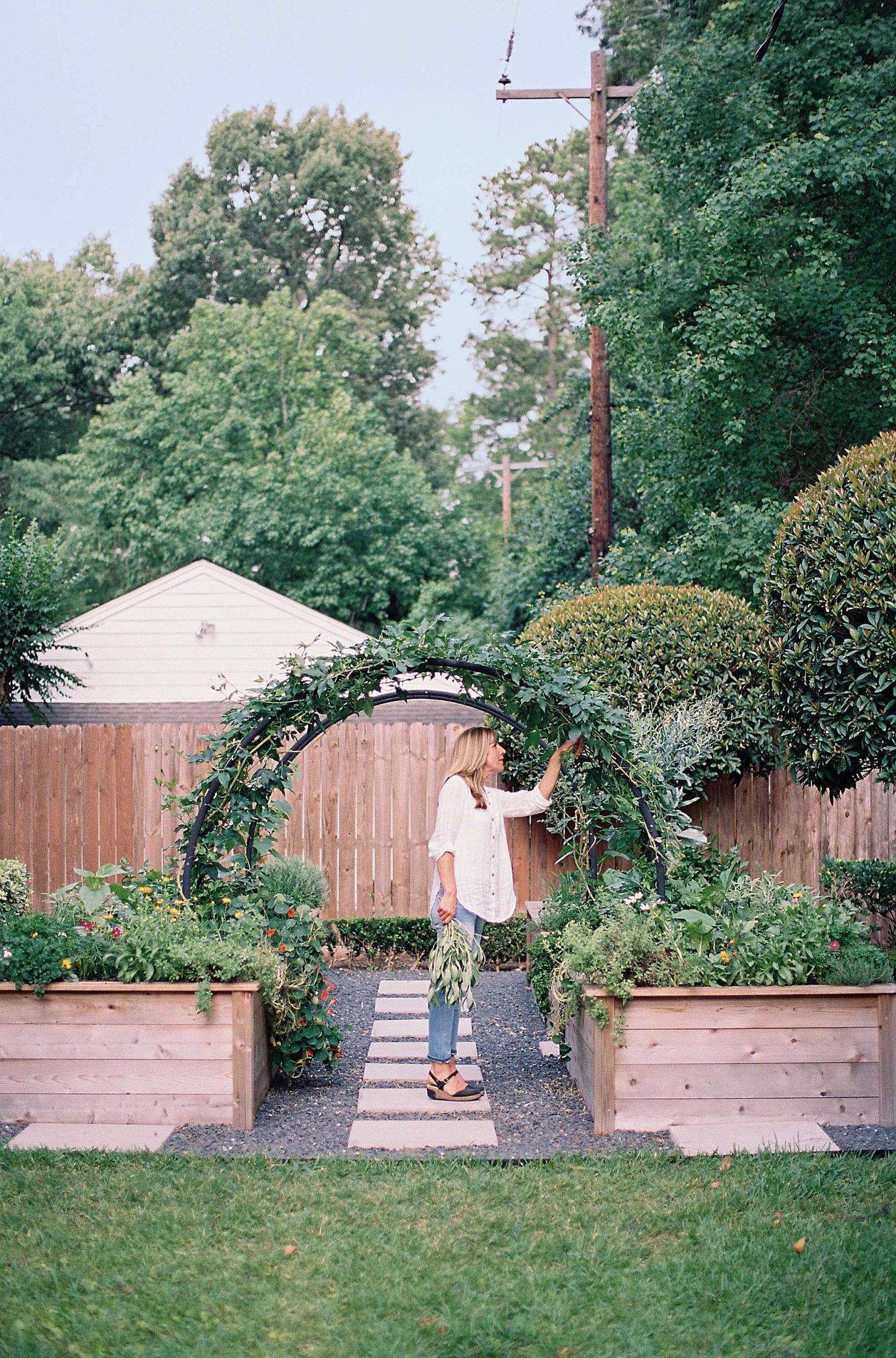 Create Your Dream Garden Oasis: A Guide to Backyard Design