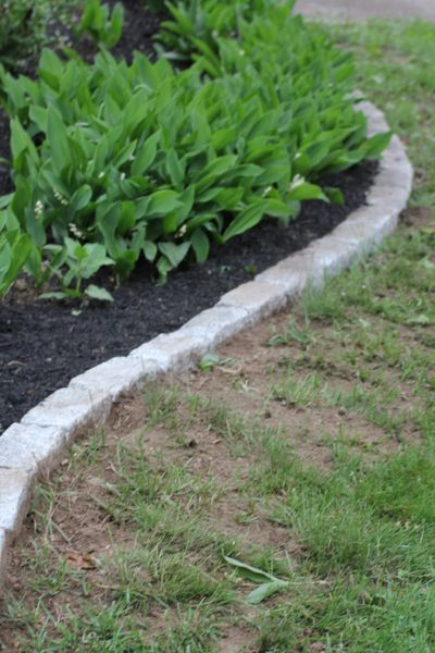 Creating Beautiful Edges: The Art of Landscaping Borders