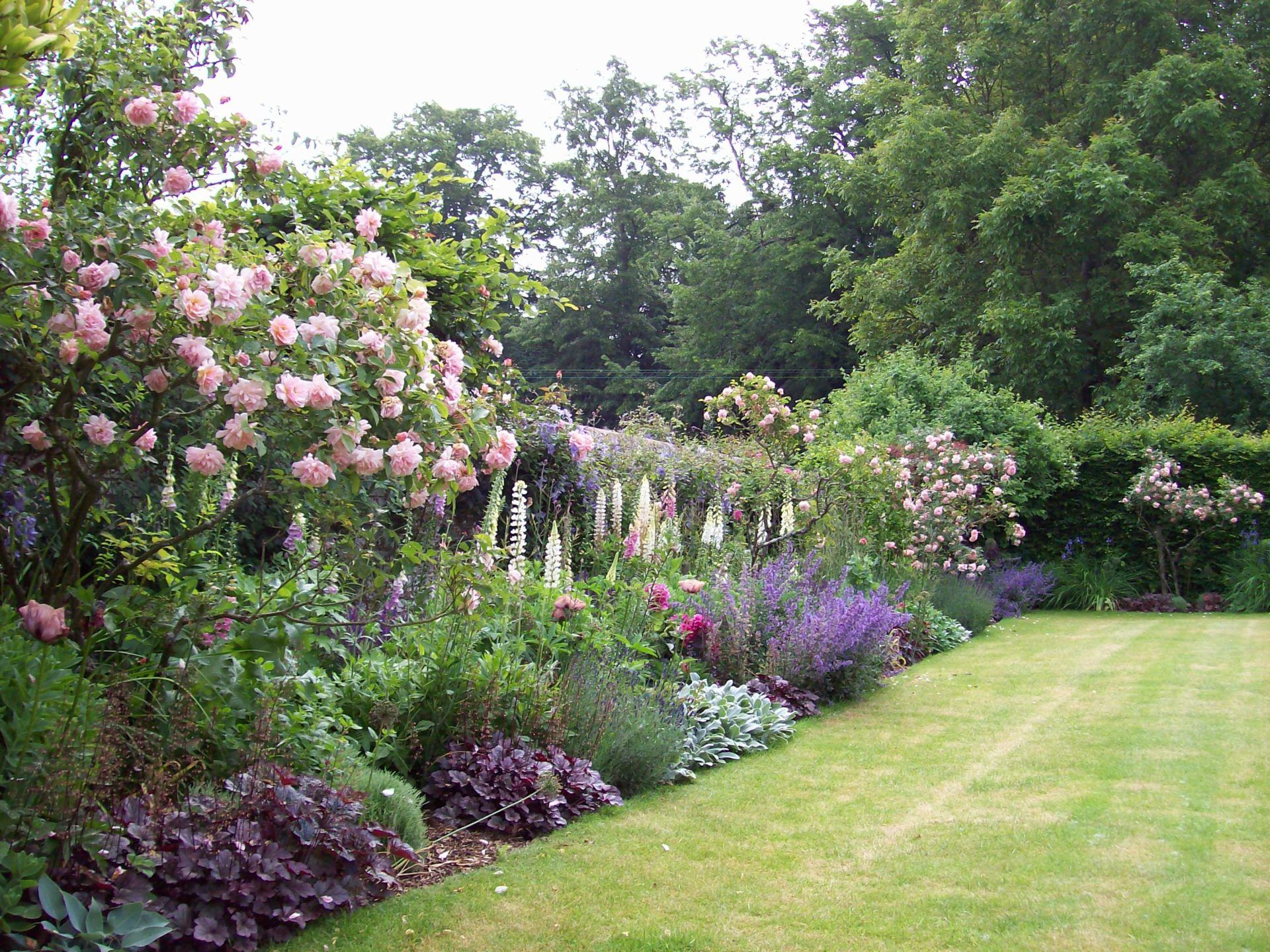 Creating Beautiful Garden Borders: A Guide to Enhancing Your Outdoor Space