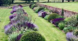 garden borders