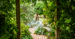 garden paths