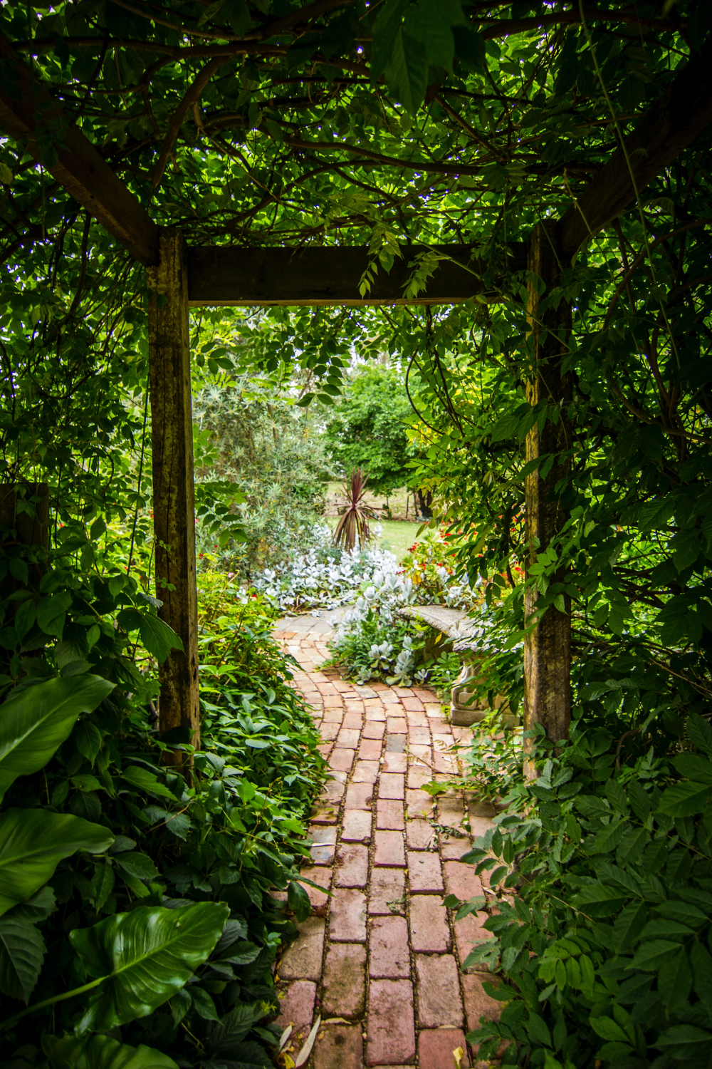 Creating Beautiful Garden Paths: A Guide to Enhancing Your Outdoor Space