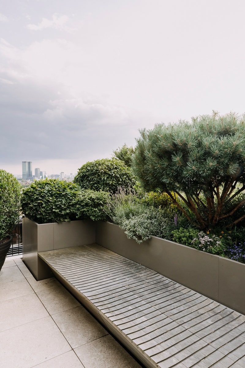Creating Beautiful Roof Gardens: The Art of Rooftop Oasis Design