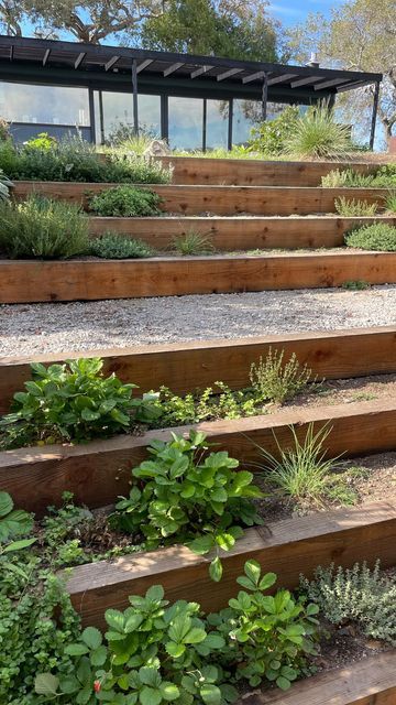 Creating Beautiful Terraced Landscapes: An Artful Approach to Gardening