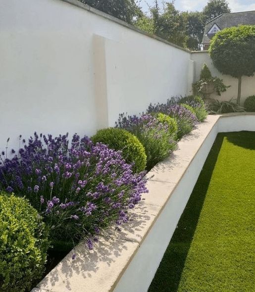 Creating Charming Garden Borders with Limited Space