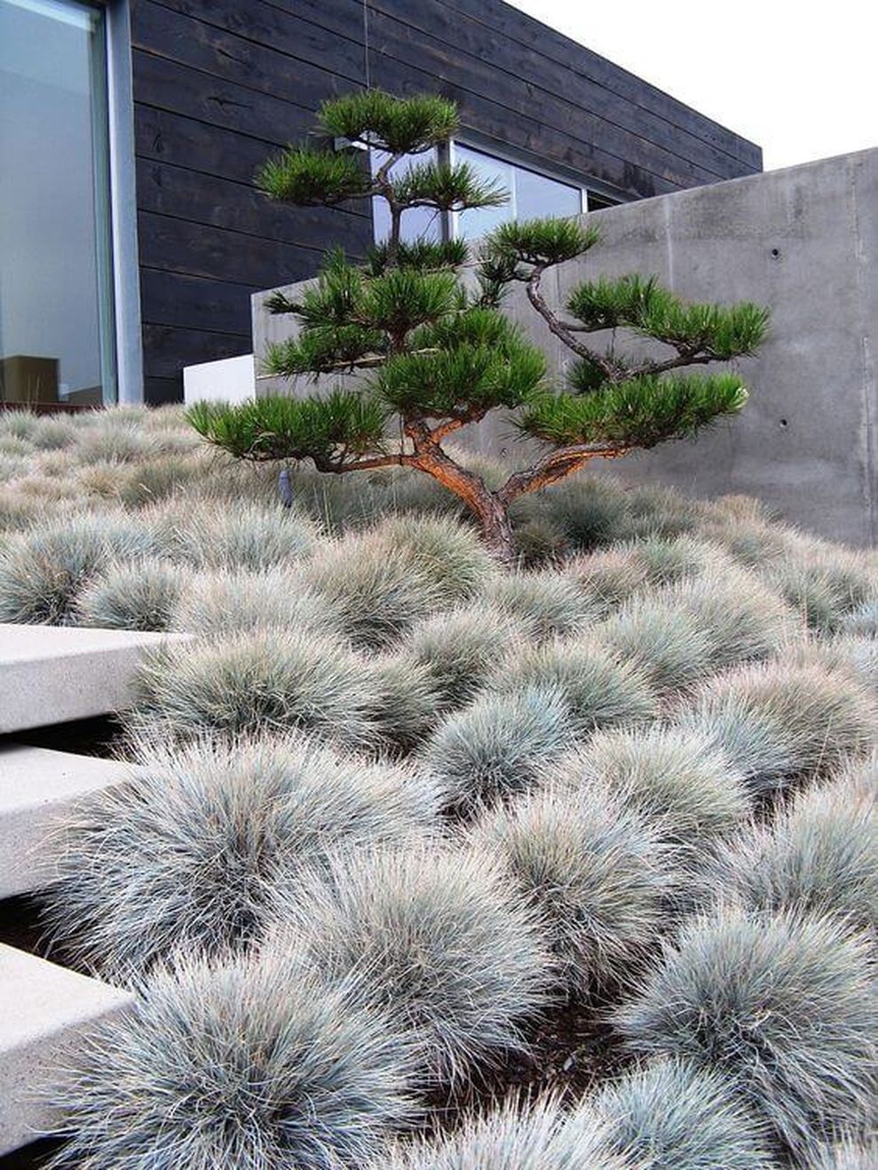 Creating Harmony: The Art of Japanese Garden Design