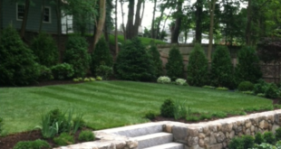 terraced landscaping