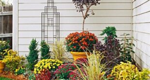 fall flower beds in front of house