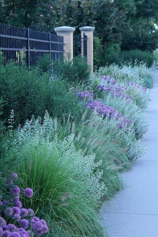 Creating Stunning Garden Borders with Plants and Flowers