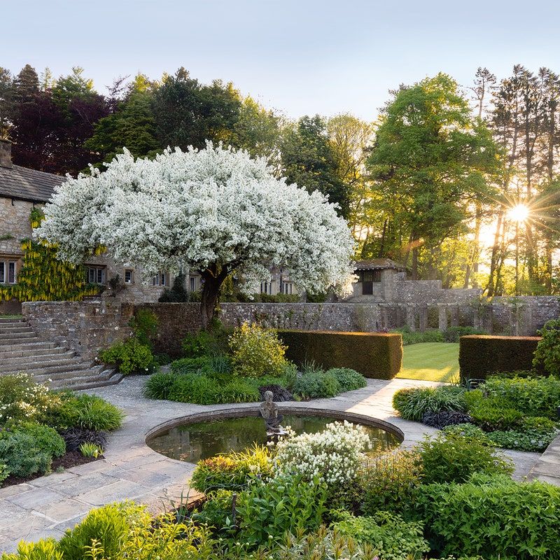 Creating Stunning Garden Designs with Harmonious Landscaping