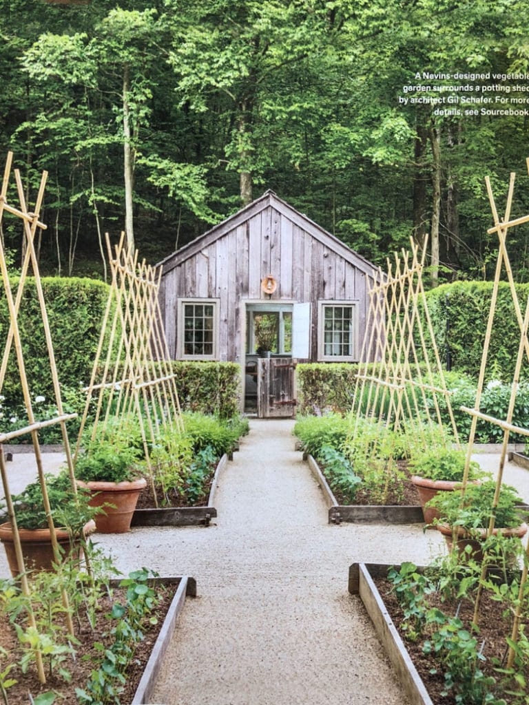 Creating a Beautiful Backyard Garden: A Guide to Designing Your Outdoor Oasis