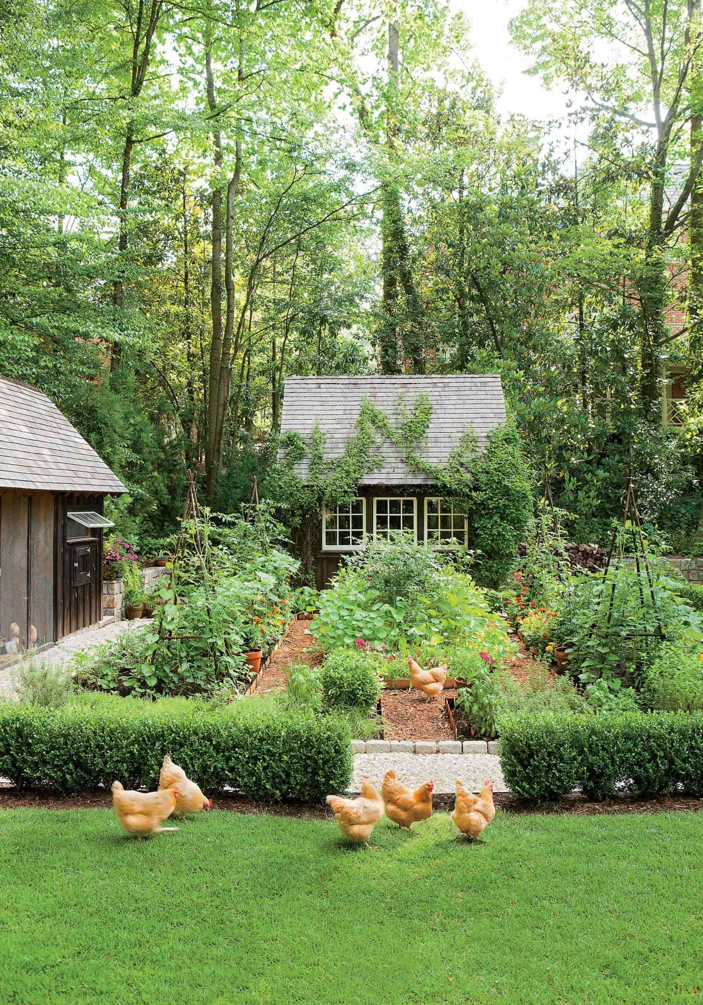 Creating a Beautiful Backyard Garden Oasis
