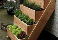 raised garden beds along fence