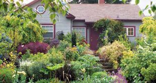 front yard garden