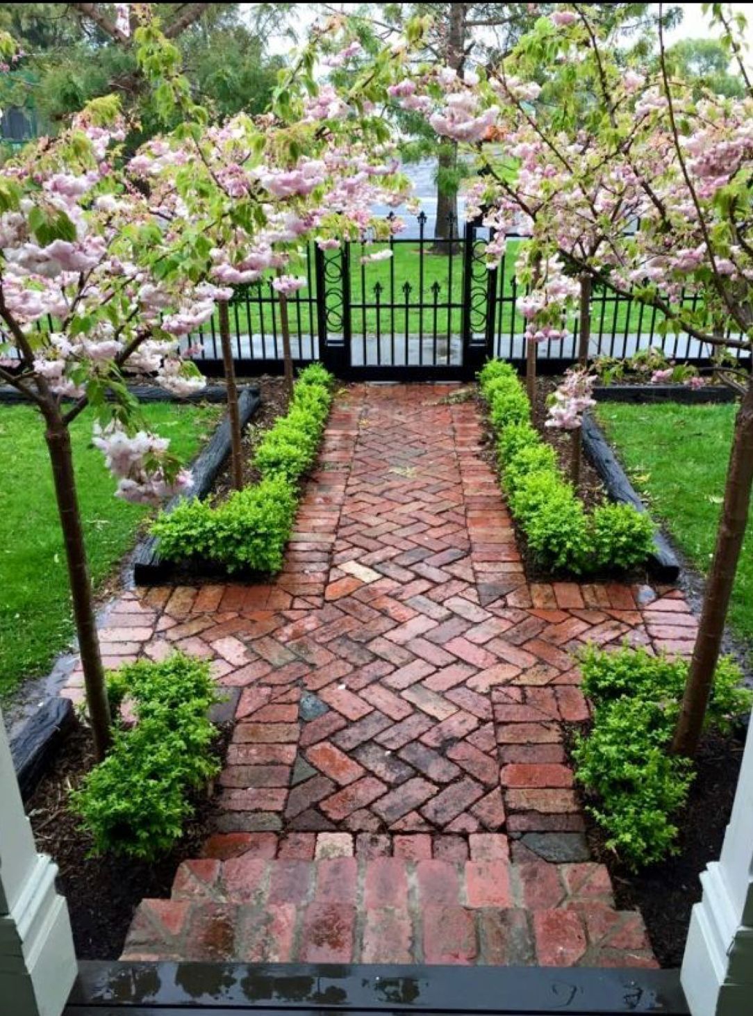 Creating a Beautiful Front Yard: The Ultimate Guide to Designing Your Outdoor Space