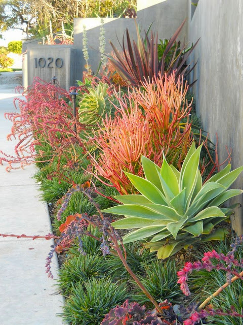 Creating a Beautiful Front Yard with Space Constraints