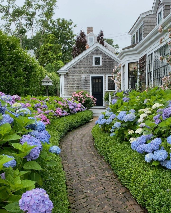 Creating a Beautiful Landscape with Hydrangeas: A Guide to Successful Planting and Care