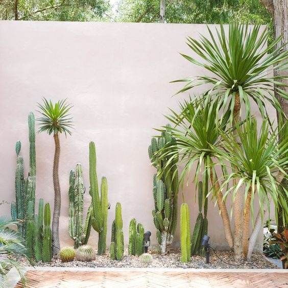 Creating a Beautiful Oasis: Tips for Desert Landscaping