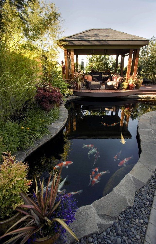 Creating a Beautiful Pond for Your Outdoor Space
