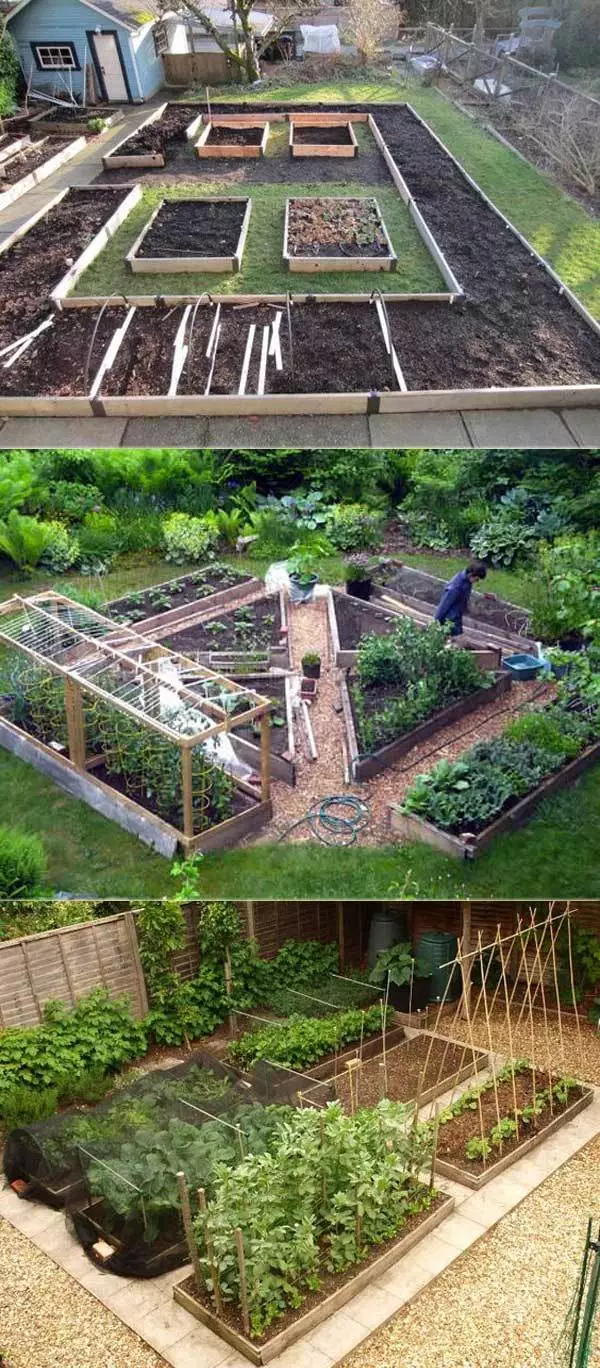 Creating a Beautiful Vegetable Garden Layout: Tips and Ideas