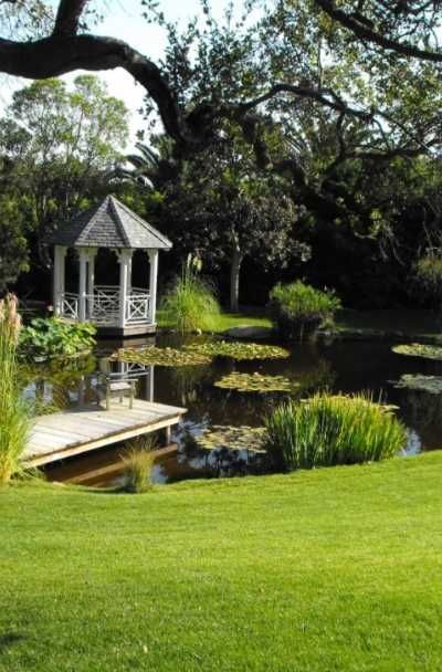 Creating a Beautiful and Functional Pond for Your Outdoor Space
