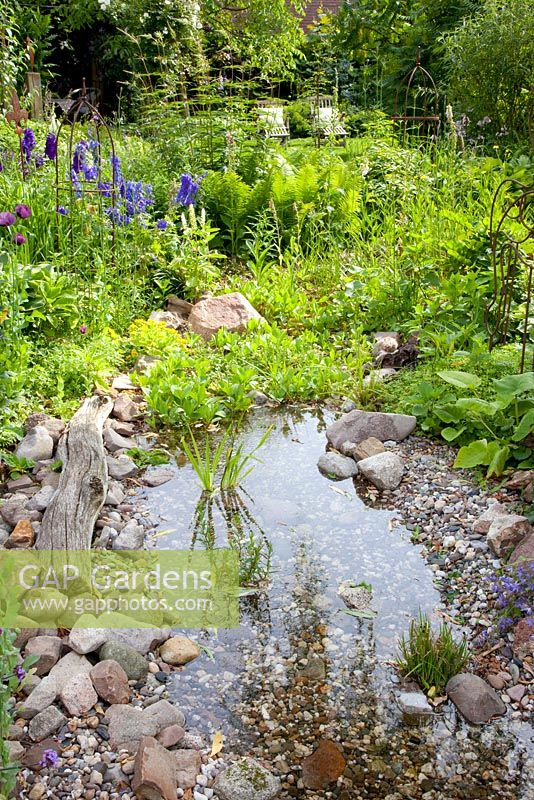 Creating a Charming Garden Pond for Your Outdoor Space