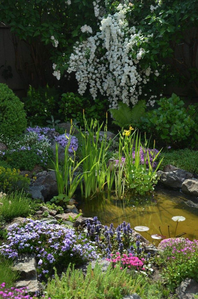 small garden pond